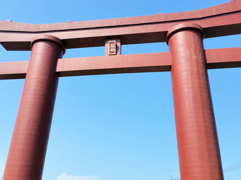 写真75