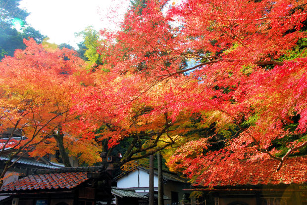 https://livedoor.blogimg.jp/mk2kpfb/imgs/a/d/ad459c92.jpg