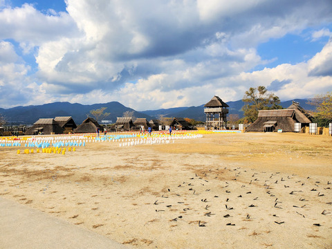 写真11