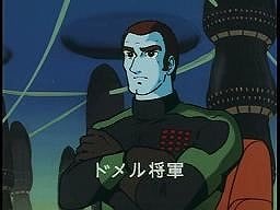 写真14_ドメル