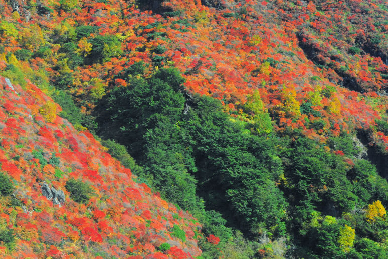 https://livedoor.blogimg.jp/mk2kpfb/imgs/b/1/b10cb7d4.jpg