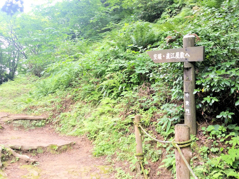 写真07