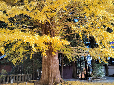 写真36