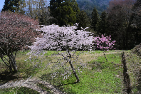 写真2