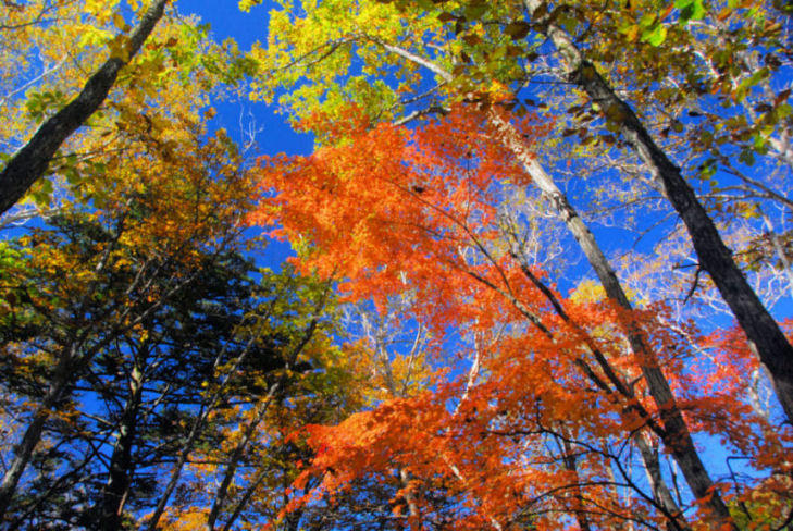 https://livedoor.blogimg.jp/mk2kpfb/imgs/b/7/b7d860ba.jpg