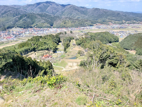 写真28