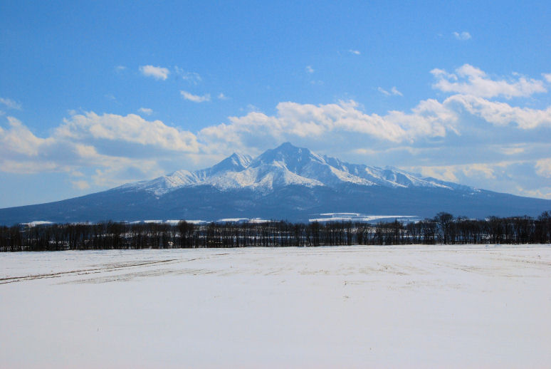 https://livedoor.blogimg.jp/mk2kpfb/imgs/b/a/bacb110a.jpg