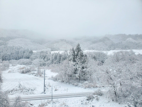 写真28