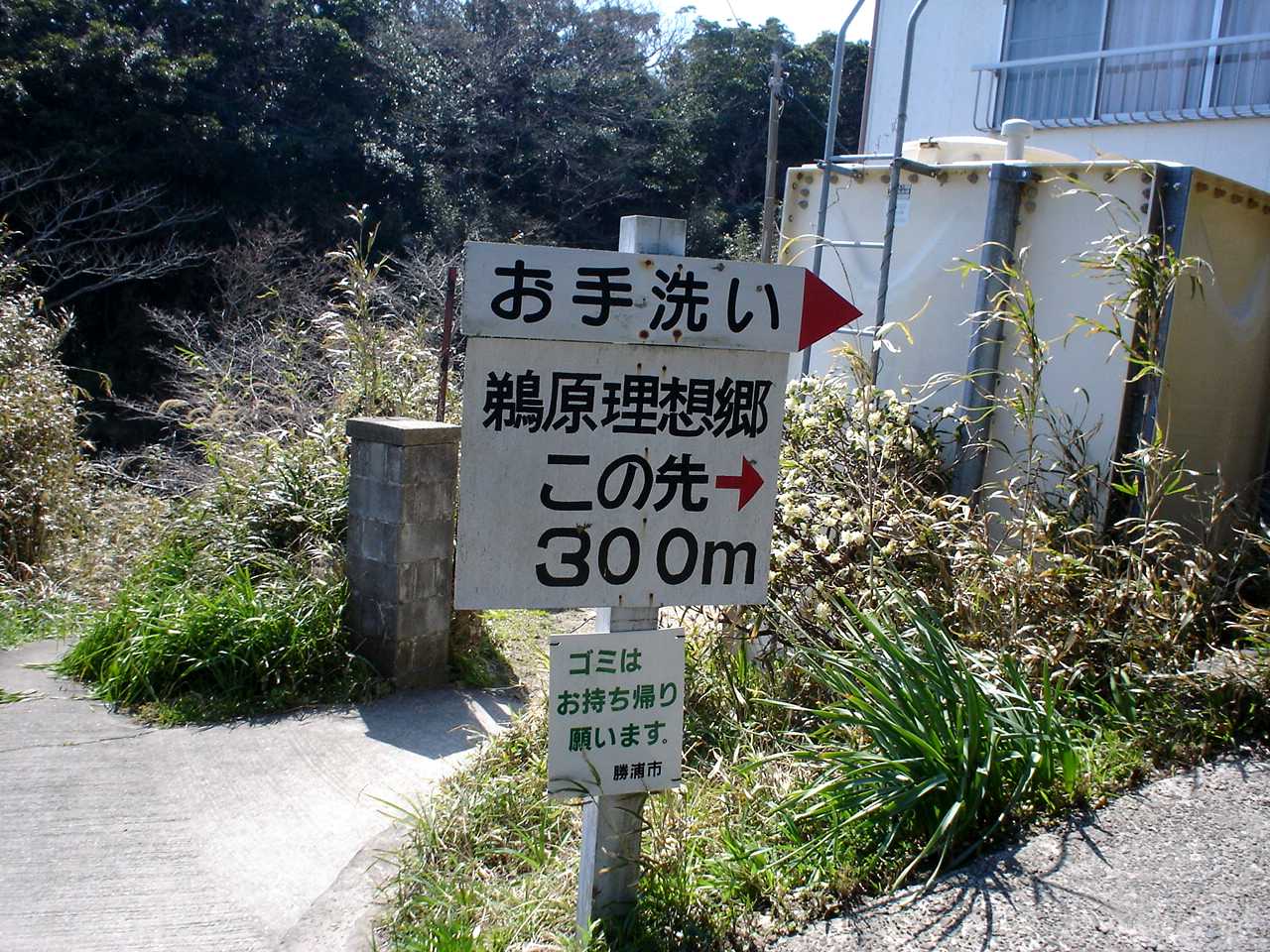 イメージ 2