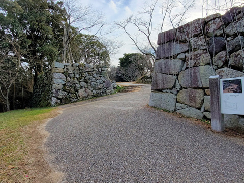 写真27