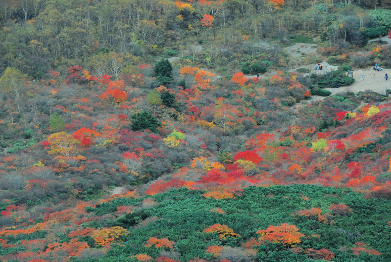 https://livedoor.blogimg.jp/mk2kpfb/imgs/c/1/c135dc90.jpg