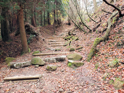 写真51