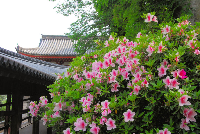 https://livedoor.blogimg.jp/mk2kpfb/imgs/c/3/c30a9675.jpg