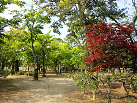 写真6