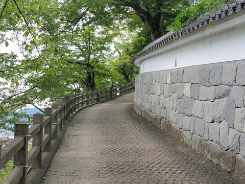 写真38