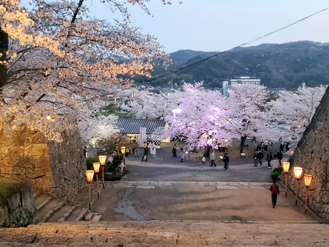 写真060