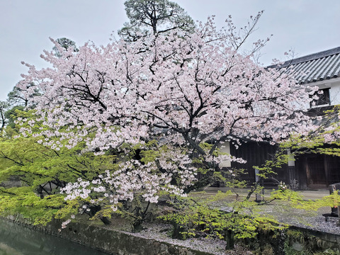 写真109