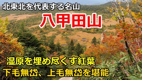 241009_八甲田山