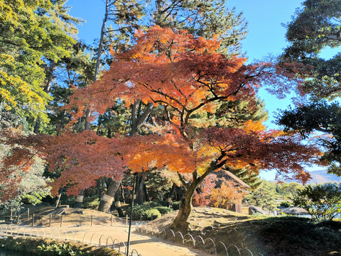 写真00