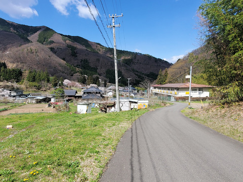 写真38
