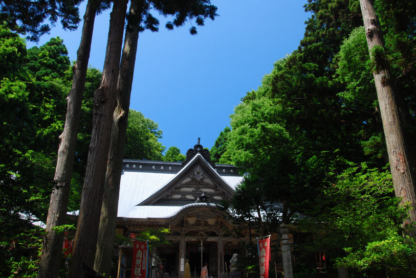 イメージ 6