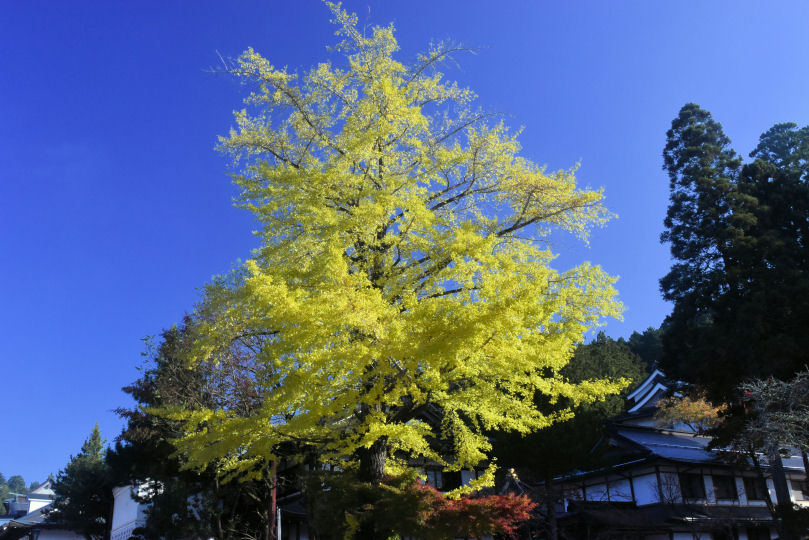 イメージ 14