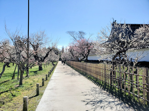 写真09