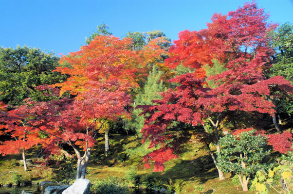 https://livedoor.blogimg.jp/mk2kpfb/imgs/d/0/d036590c.jpg