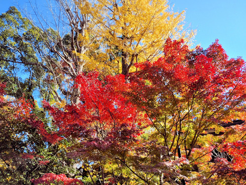 写真09