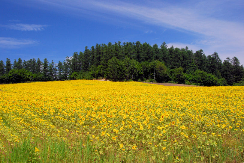 https://livedoor.blogimg.jp/mk2kpfb/imgs/d/0/d0958930.jpg