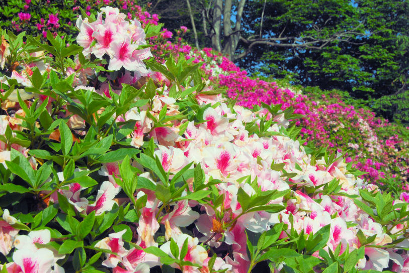 https://livedoor.blogimg.jp/mk2kpfb/imgs/d/3/d31ca253.jpg