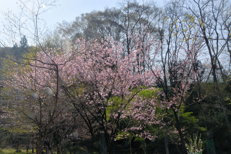 イメージ 1