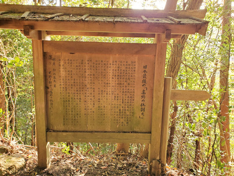 写真45