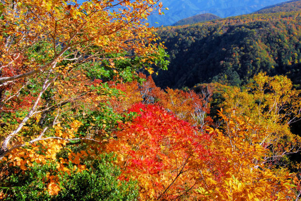 https://livedoor.blogimg.jp/mk2kpfb/imgs/d/4/d448d3df.jpg