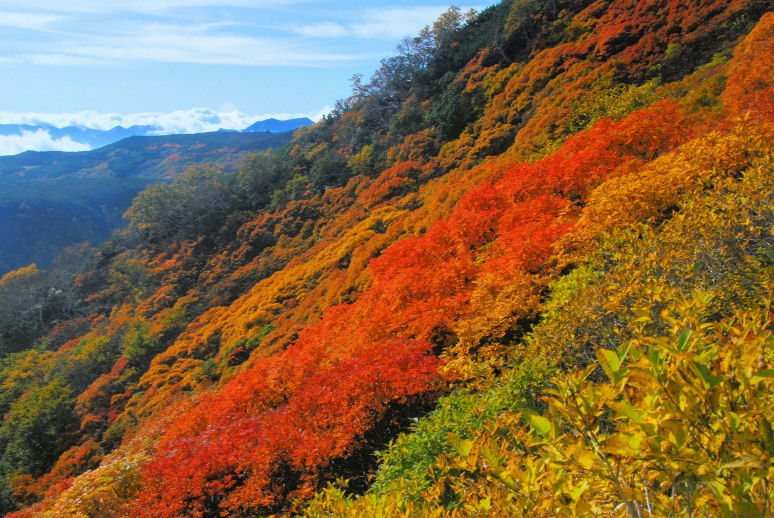https://livedoor.blogimg.jp/mk2kpfb/imgs/d/5/d5e9ef47.jpg