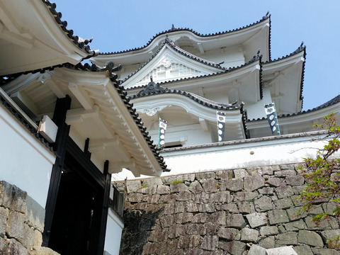 写真3