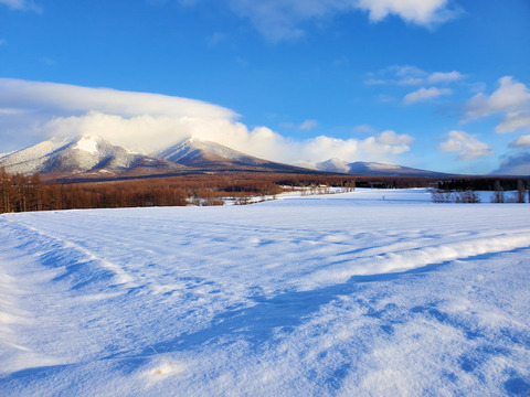 写真14