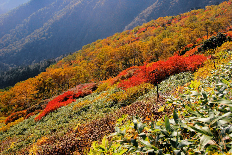 https://livedoor.blogimg.jp/mk2kpfb/imgs/d/8/d815fbcb.jpg