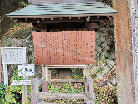 写真02