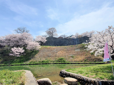 写真080