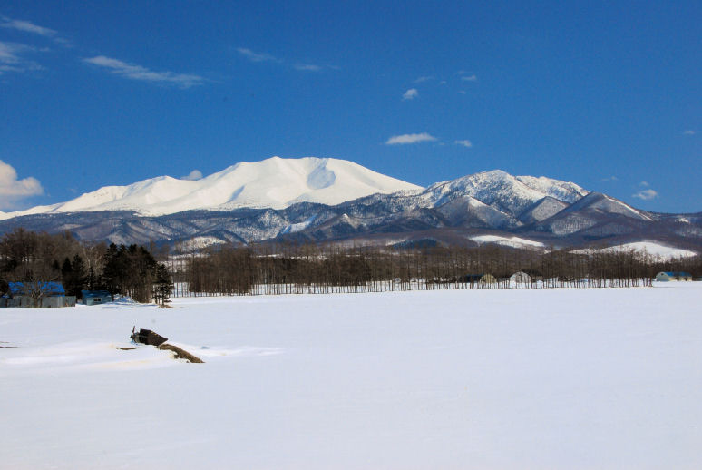 https://livedoor.blogimg.jp/mk2kpfb/imgs/d/a/dabb592d.jpg