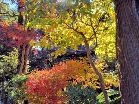 写真08
