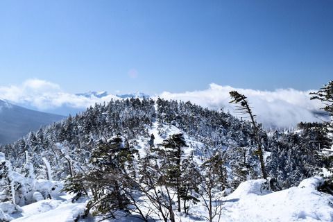 写真13