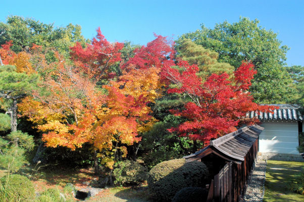 https://livedoor.blogimg.jp/mk2kpfb/imgs/d/d/dd9e150a.jpg
