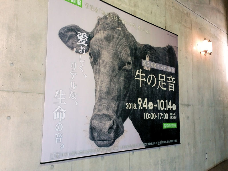イメージ 5