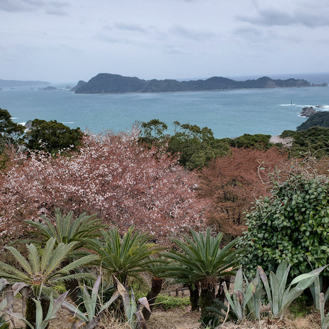 写真36