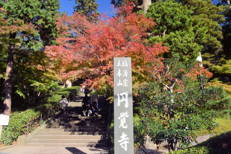 イメージ 9