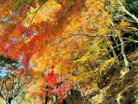 写真30