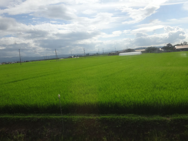 イメージ 6