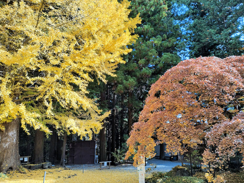 写真37